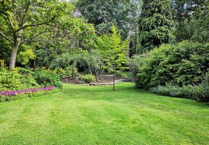 Optimiser l'expérience du jardin à Brassac-les-Mines